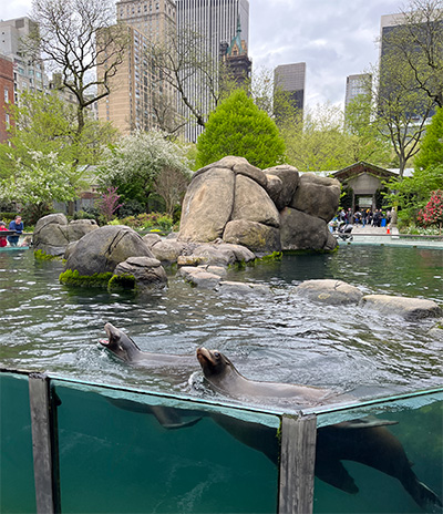 Central Park Zoo