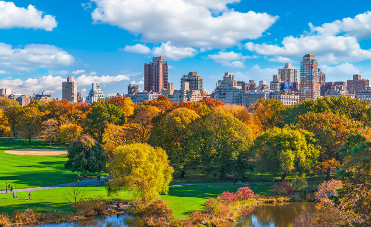 Central Park New York Itinerary